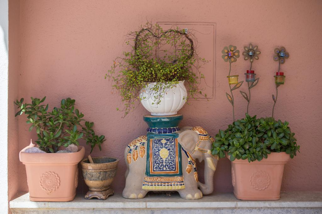 Apartments Dunja Piric ロパール エクステリア 写真